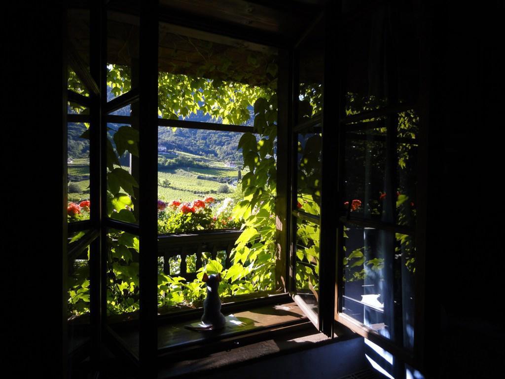 Villa Bertagnolli - Locanda Del Bel Sorriso Trento Exterior photo